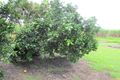 Property photo of 12560 Bruce Highway Hamilton Plains QLD 4800
