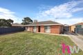 Property photo of 51 Govett Crescent St Albans Park VIC 3219