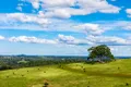 Property photo of 369 Coolamon Scenic Drive Coorabell NSW 2479