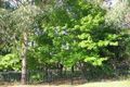 Property photo of 1 Oxford Falls Road Beacon Hill NSW 2100