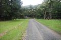 Property photo of 19R Zena Close Cape Tribulation QLD 4873