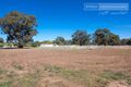 Property photo of 5 Churches Plain Road Uranquinty NSW 2652