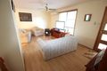 Property photo of 11 Vera Avenue Lemon Tree Passage NSW 2319