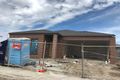 Property photo of 49 Fitzpatrick Circuit Kalkallo VIC 3064