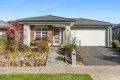 Property photo of 19 Thornton Avenue St Leonards VIC 3223
