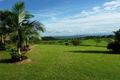 Property photo of 184 Williamson Road Eubenangee QLD 4860