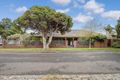 Property photo of 1 McCallum Street Brighton VIC 3186