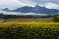 Property photo of 20 The Plateau Murwillumbah NSW 2484