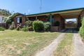 Property photo of 14 Centre Avenue Eildon VIC 3713