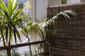 Property photo of 117/105-113 Campbell Street Surry Hills NSW 2010