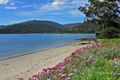 Property photo of 43 Free Street White Beach TAS 7184