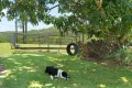 Property photo of 887 Cooloolabin Road Cooloolabin QLD 4560
