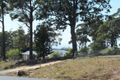 Property photo of 62 Emerald Crescent Wallagoot NSW 2550