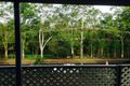 Property photo of 29 Capitol Drive Jindalee QLD 4074