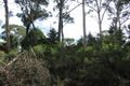 Property photo of 1 Victoria Crescent Katoomba NSW 2780