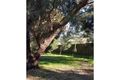 Property photo of 11 Glendale Grove Goolwa SA 5214