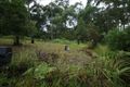 Property photo of 163A North Road Lower Beechmont QLD 4211