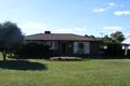 Property photo of 52 Cameron Street Curlewis NSW 2381