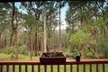 Property photo of 3 Silvan Court Emerald VIC 3782