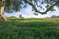 Property photo of LOT 201 Esk Circuit Maitland Vale NSW 2320