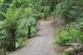 Property photo of 65 Prion Road Mount Dandenong VIC 3767