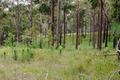 Property photo of 2 Logwoods Road Eudlo QLD 4554