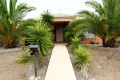 Property photo of 14 Macfarlane Street Marshall VIC 3216