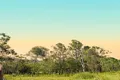 Property photo of 8454 Cunningham Highway Tarome QLD 4309