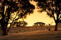 Property photo of 248 Potts Road Taradale VIC 3447