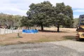 Property photo of 855 Tyne Road Mathinna TAS 7214