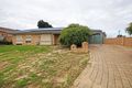Property photo of 11 Farnell Place Alexander Heights WA 6064