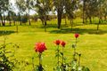 Property photo of 902 Wandena Road Lower Chittering WA 6084