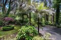 Property photo of 20 Range Road Olinda VIC 3788