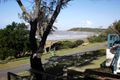 Property photo of 38 Schofield Parade Keppel Sands QLD 4702