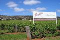 Property photo of 18 Penfold Road Magill SA 5072