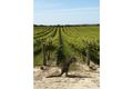 Property photo of 18 Penfold Road Magill SA 5072