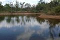 Property photo of 4545 Fog Bay Road Dundee Forest NT 0840
