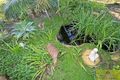 Property photo of 19 Nesbit Road Greenfields WA 6210