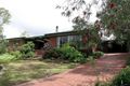 Property photo of 31 Jackson Avenue Coromandel Valley SA 5051