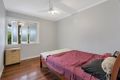 Property photo of 551 Mulgrave Road Earlville QLD 4870