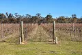 Property photo of 19/20 Pyrenees Highway Avoca VIC 3467