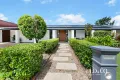 Property photo of 3 Loudon Street Mount Pleasant QLD 4740
