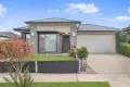 Property photo of 42 Tuxworth Drive Kalkallo VIC 3064