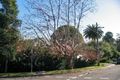 Property photo of 20 Boambillee Avenue Vaucluse NSW 2030