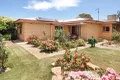 Property photo of 12 Traeger Street Cleve SA 5640