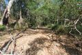 Property photo of 291 Pace Road Rollingstone QLD 4816