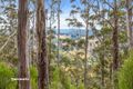 Property photo of LOT 1 Lloyds Road Franklin TAS 7113