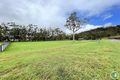 Property photo of 15 Forrest Street Carrington QLD 4883