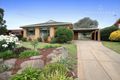 Property photo of 9 Dove Street Mount Austin NSW 2650
