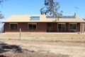 Property photo of 104 Ridley Road Mannum SA 5238